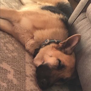 Meet your Posher, Ethan